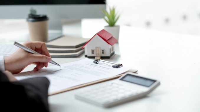 envato-elementsgjydn-1