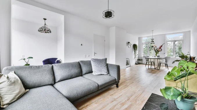 immobilier-de-luxe-z