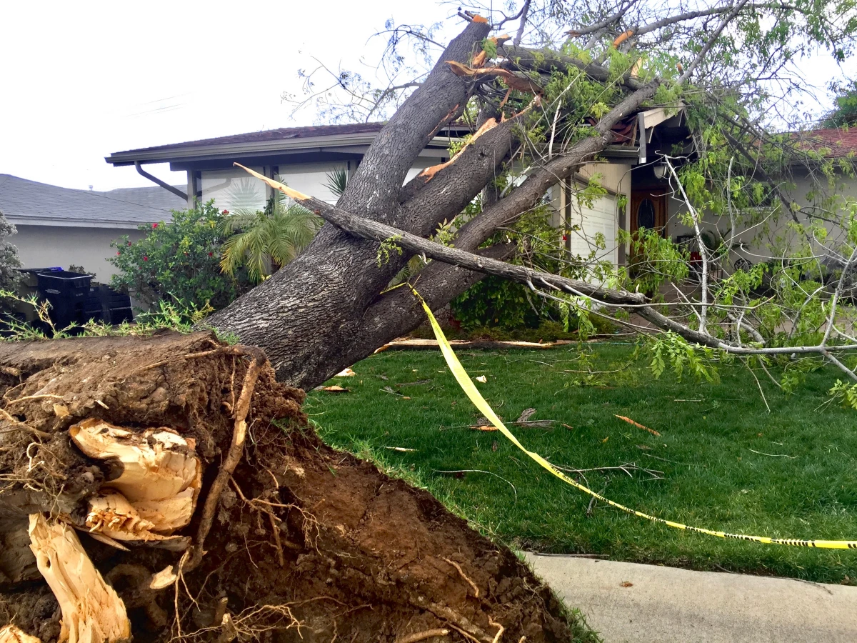Catastrophes naturelles : L'immobilier face aux défis climatiques